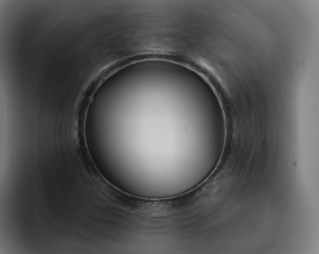 X0000093251307200710101433