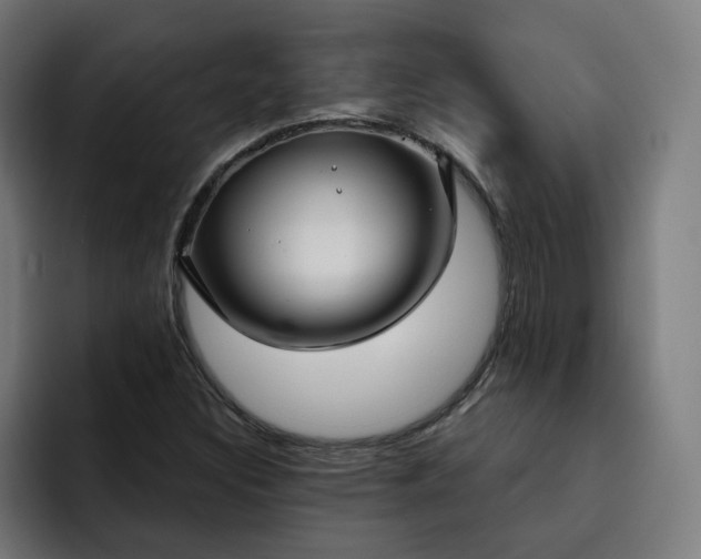 X0000093251308200710101433