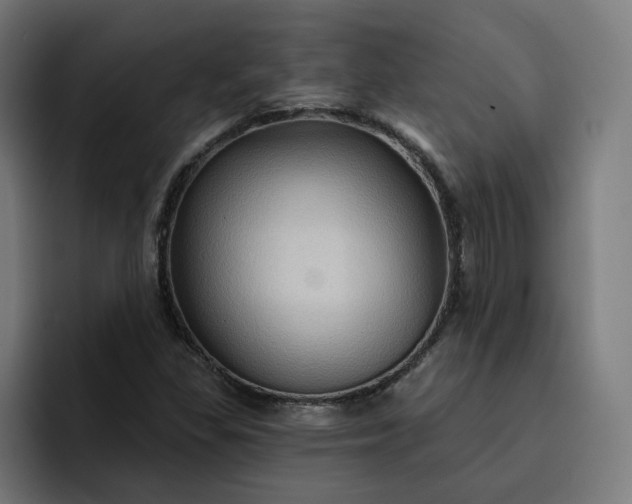 X0000093251309200710101433