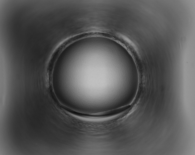 X0000093251310200710101433