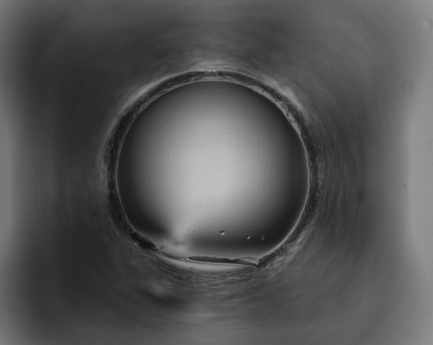 X0000093251311200710101433