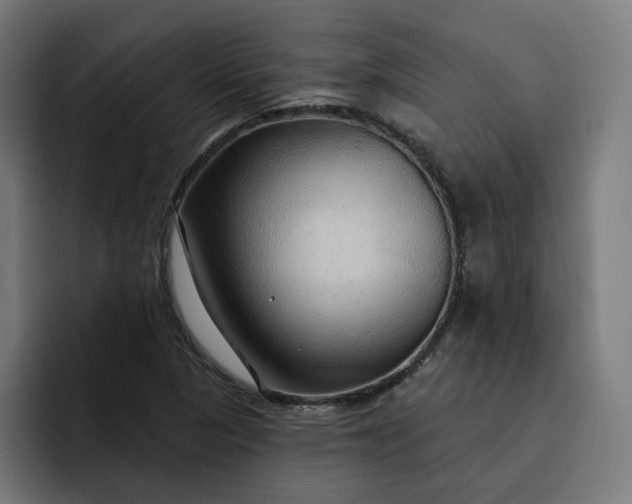 X0000093251313200710101433