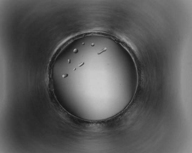 X0000093251316200710101433