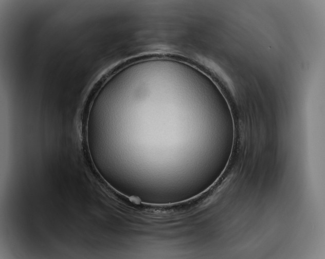 X0000093251318200710101433