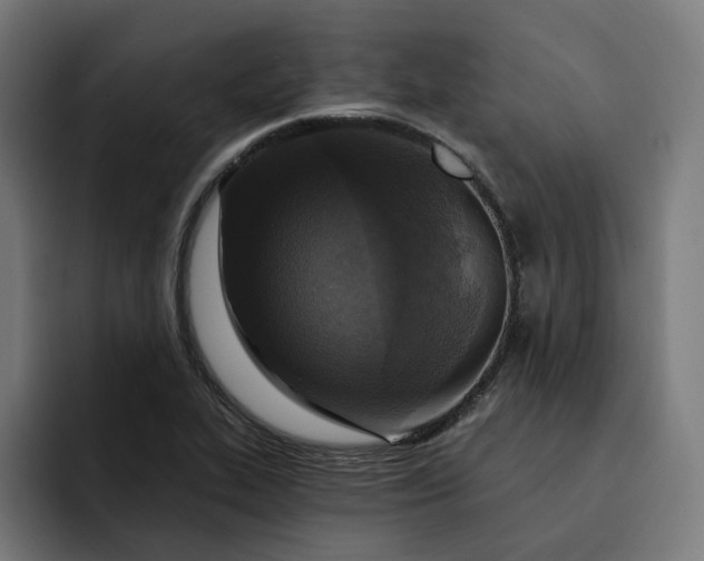 X0000093251319200710101433