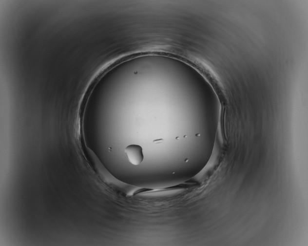 X0000093251324200710101433