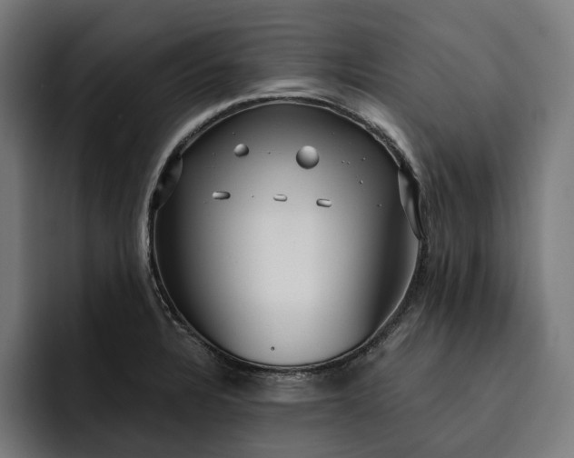 X0000093251328200710101433