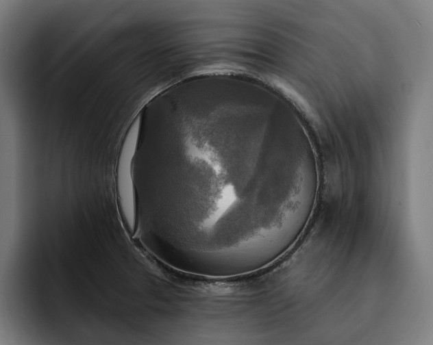 X0000093251329200710101433