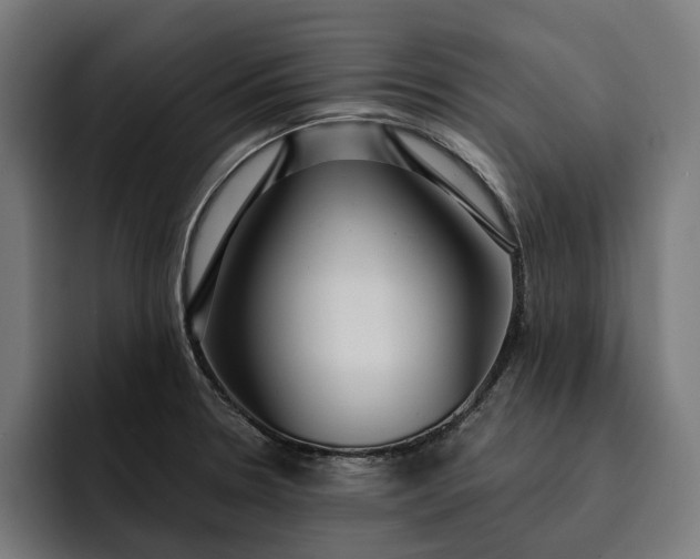 X0000093251330200710101433