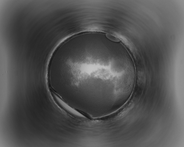 X0000093251331200710101433