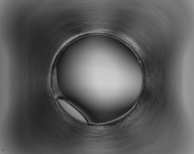 X0000093251332200710101433