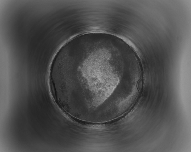 X0000093251333200710101433