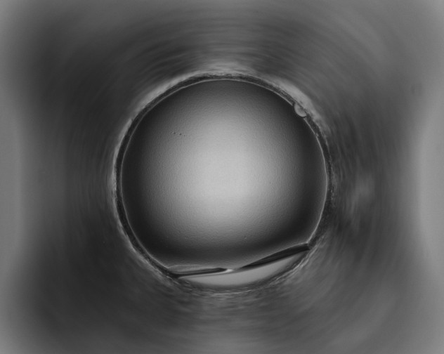 X0000093251335200710101433