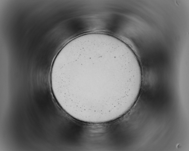 X0000093251338200710101433