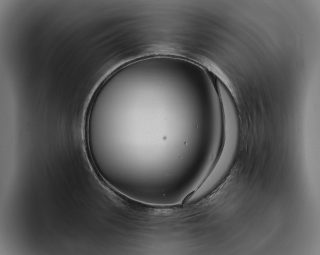 X0000093251339200710101433