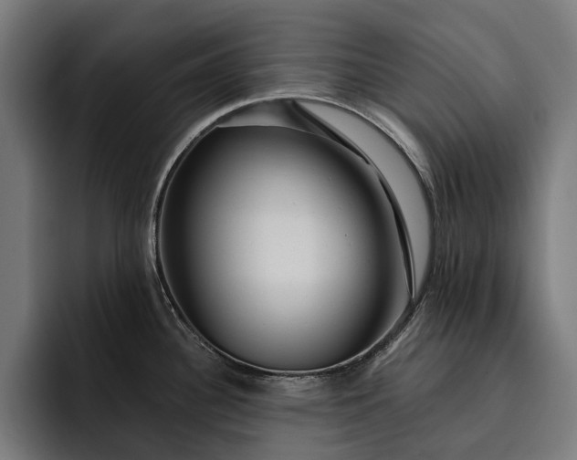 X0000093251340200710101433