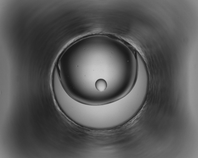 X0000093251342200710101433