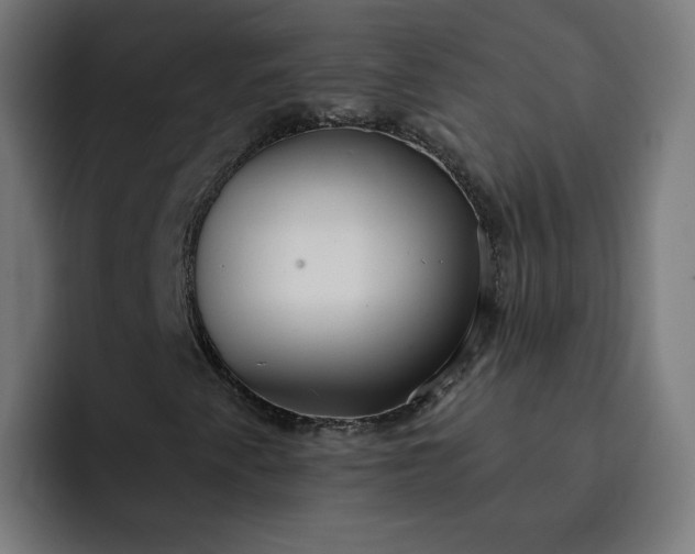 X0000093251345200710101433