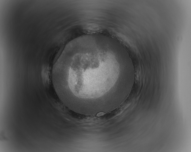 X0000093251346200710101433