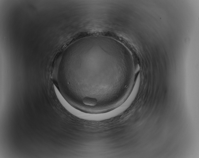 X0000093251348200710101433