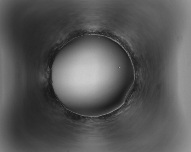 X0000093251349200710101433