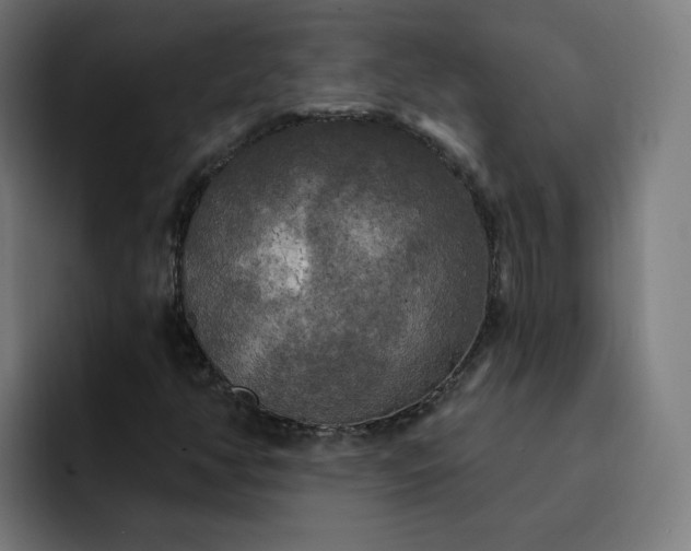 X0000093251350200710101433