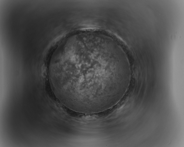 X0000093251351200710101433