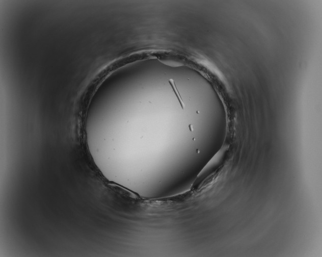 X0000093251352200710101433