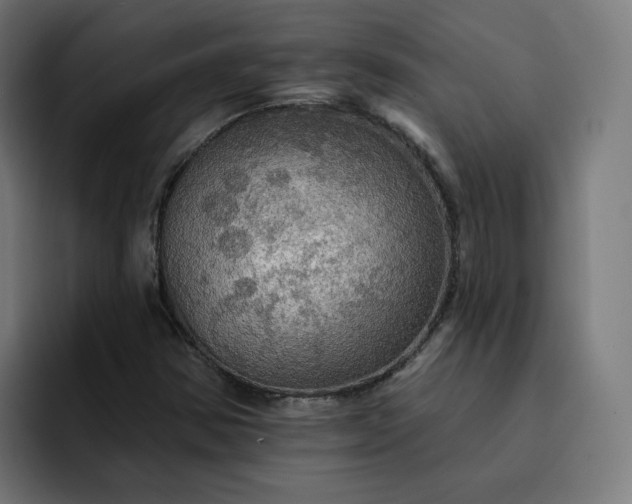 X0000093251354200710101433