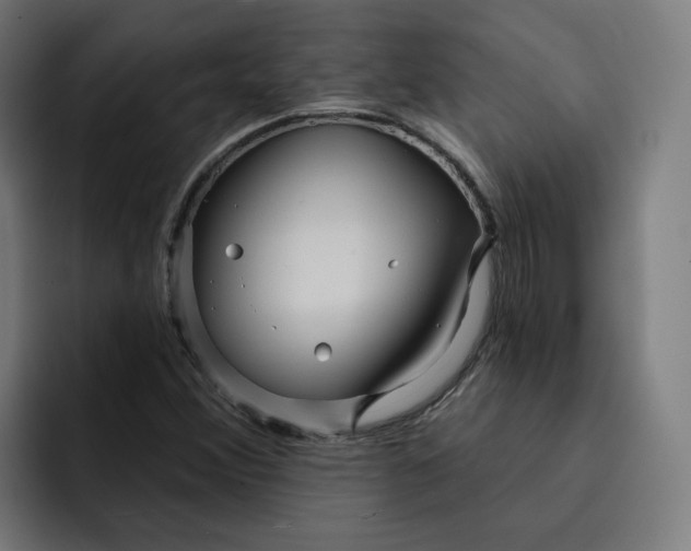 X0000093251356200710101433