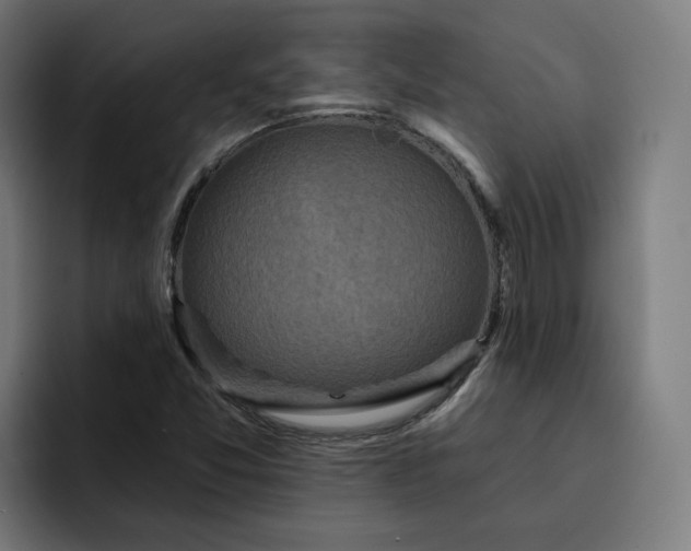 X0000093251357200710101433