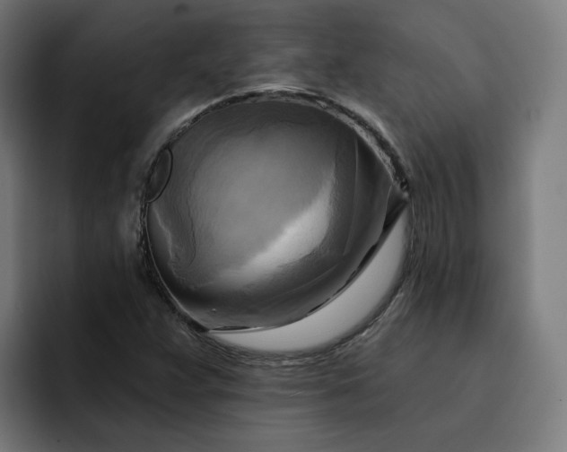 X0000093251359200710101433