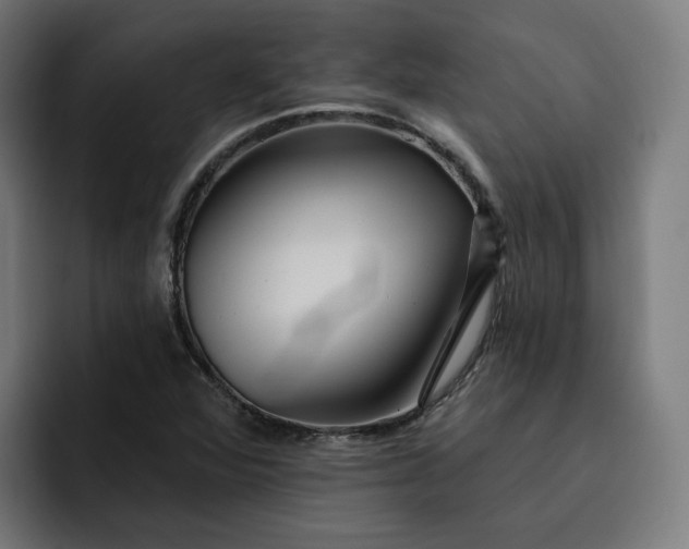 X0000093251360200710101433