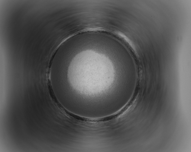 X0000093251361200710101433