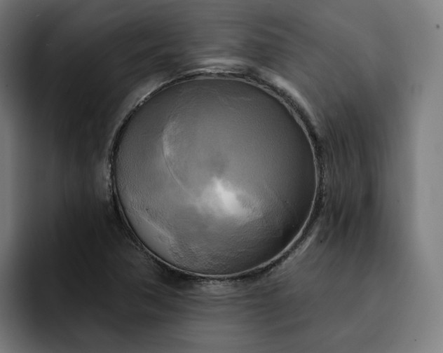 X0000093251362200710101433