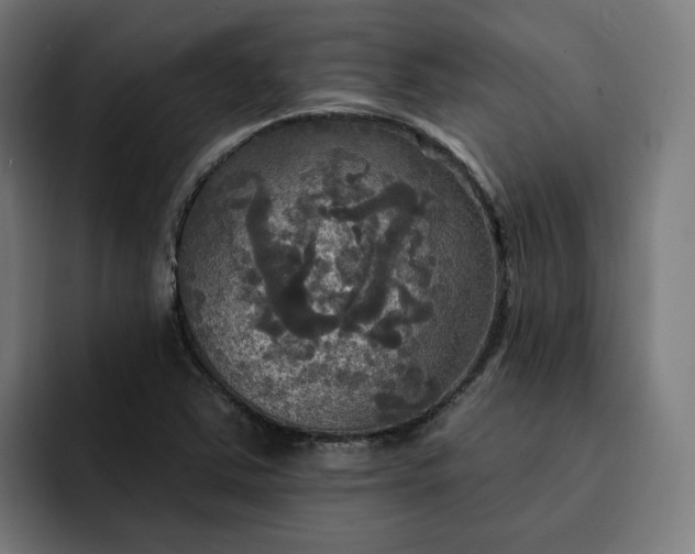 X0000093251363200710101433