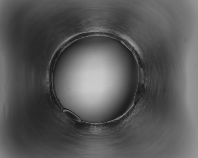 X0000093251364200710101433