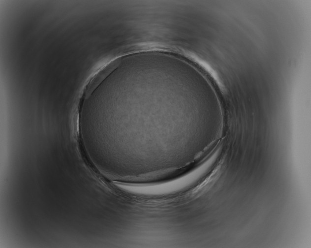 X0000093251365200710101433