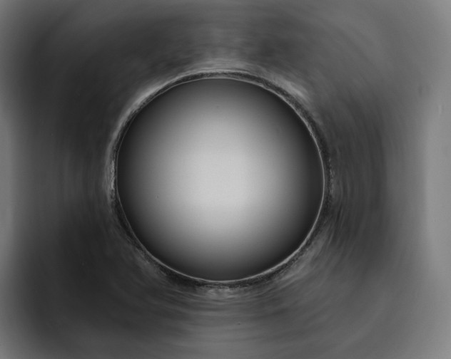 X0000093251366200710101433