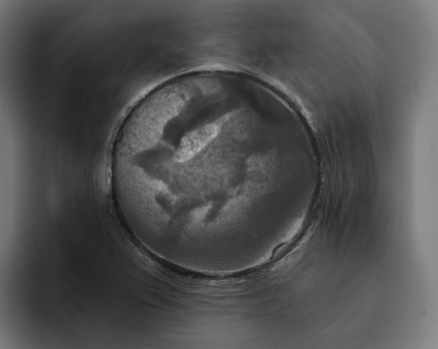 X0000093251367200710101433