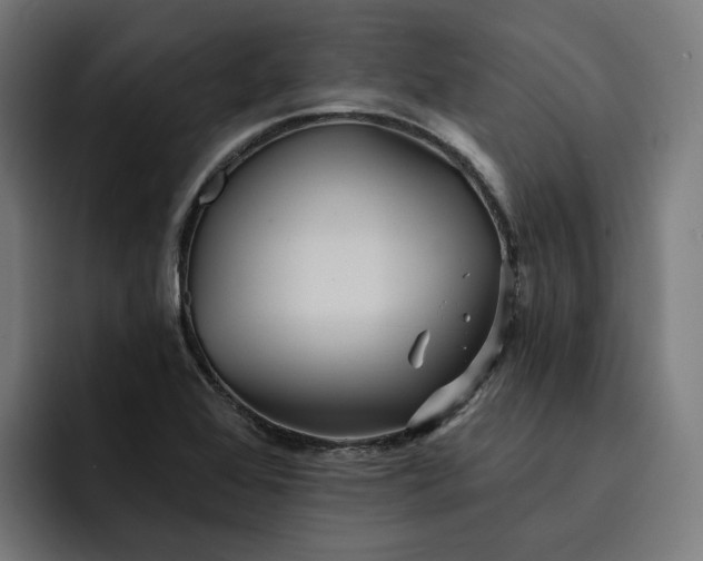 X0000093251368200710101433