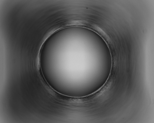 X0000093251370200710101433