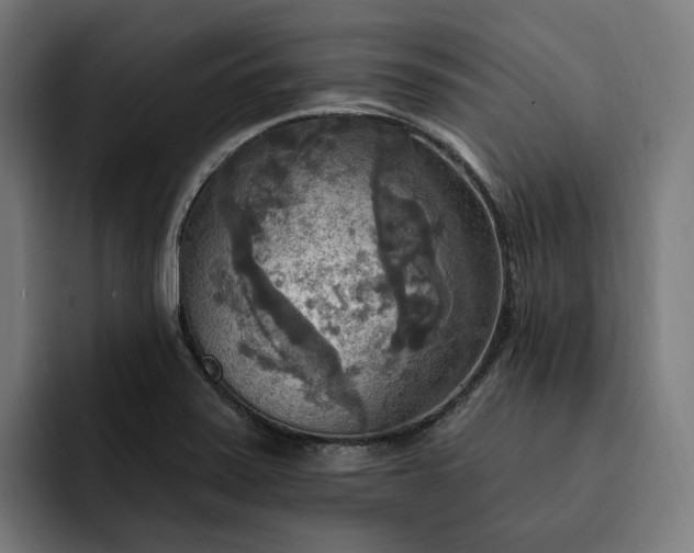 X0000093251371200710101433