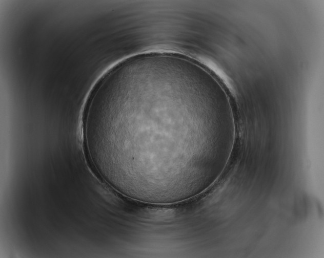 X0000093251372200710101433