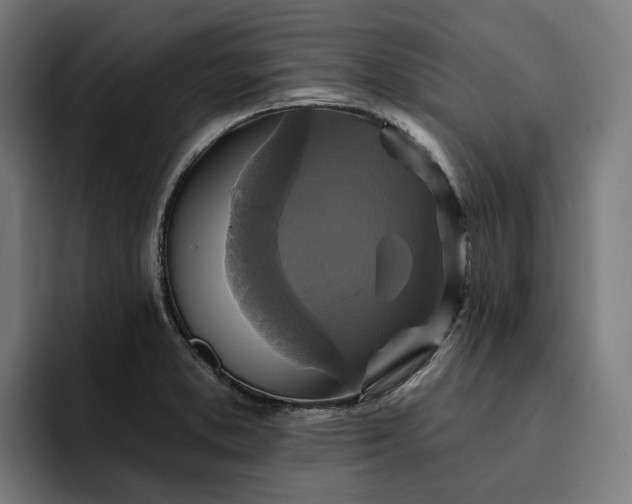 X0000093251373200710101433