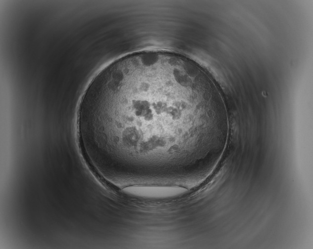 X0000093251375200710101433