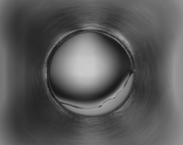 X0000093251376200710101432