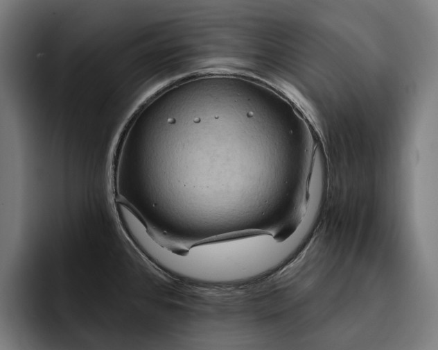 X0000093251384200710101432