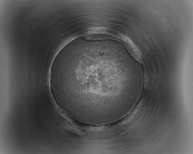 X0000093251386200710101432