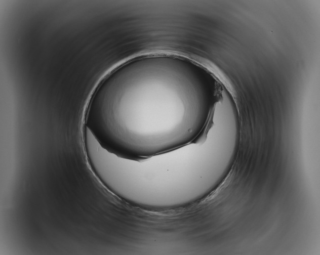 X0000093251388200710101432